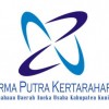Logo PDAU